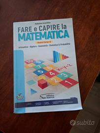 fare e capire la matematica 