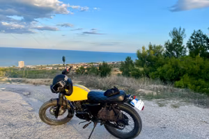 Mutt Mongrell 125