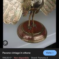 Pavone