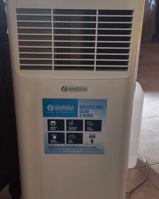 climatizzatore olimpia splendid