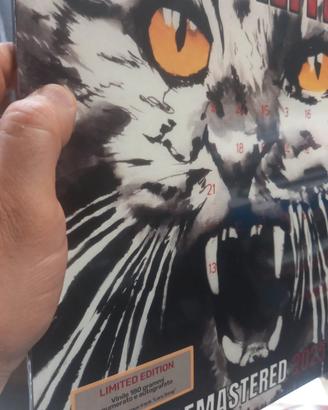  litfiba insidia remaster 2025 numerato e autograf