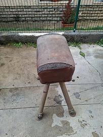 cavallina per palestra 