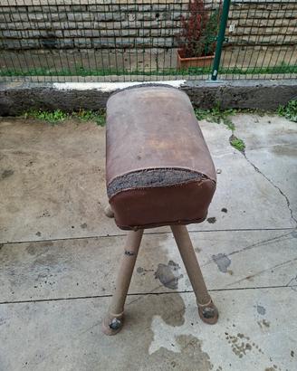 cavallina per palestra 
