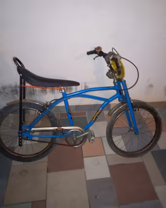 Bicicletta Vintage