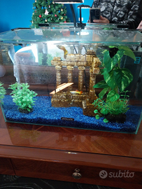 Acquario 18 litri compreso di pesci e accessori