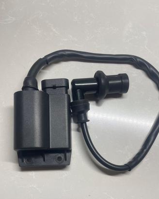 Centralina Piaggio Liberty 50/100 4 tempi senza l