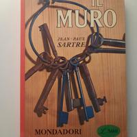 Libro "Il Muro"