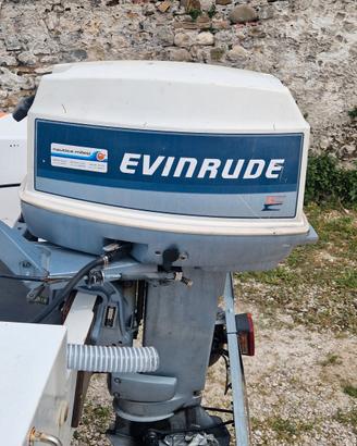 evinrude 521