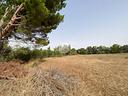 ter-agricolo-a-alghero