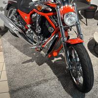 V Rod CVO 2006 Screamin Eagle