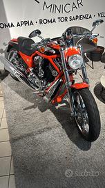 V Rod CVO 2006 Screamin Eagle