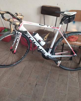 bici da corsa Focus 
