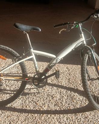 bici tagazzo