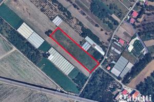 Terreno Agricolo Sant'Anastasia