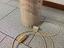 Immagine 6