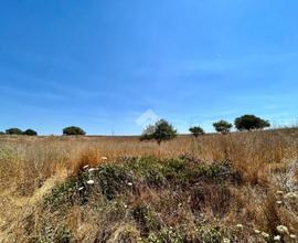 TER. AGRICOLO A ROMA