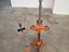 Immagine 3