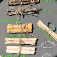 Giochi per Pappagalli Masticabili Foraging