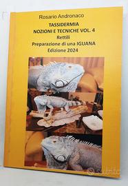 Tassidermia Rettili, imbalsamazione di una Iguana