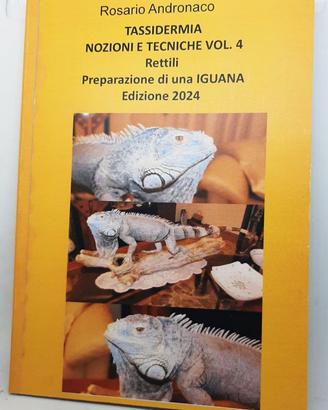 Tassidermia Rettili, imbalsamazione di una Iguana