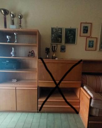 Cameretta con letto a divano, libreria e armadio