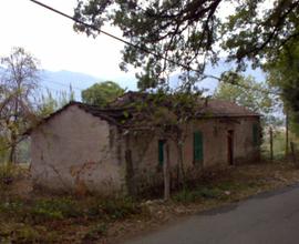 Rudere