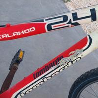 Bici Lombardo