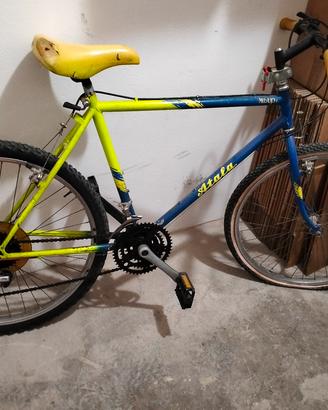 Mountain bike 