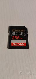 SanDisk 256gb