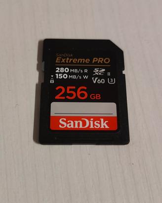 SanDisk 256gb