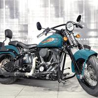 Harley Davidson Softail 1584 Cross Bones FLSTSB