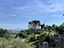 Immagine 7