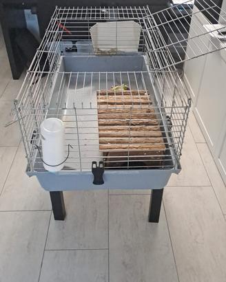 Gabbia per cavia o coniglio