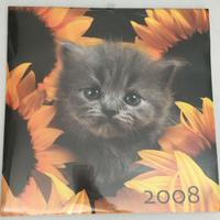 Calendario gatti 2008