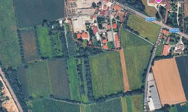 Terreno agricolo 8000mq