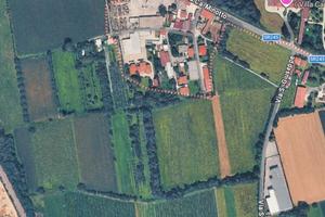 Terreno agricolo 8000mq