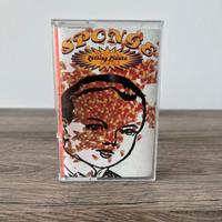 Musicassetta Sponge Rotten Pinata