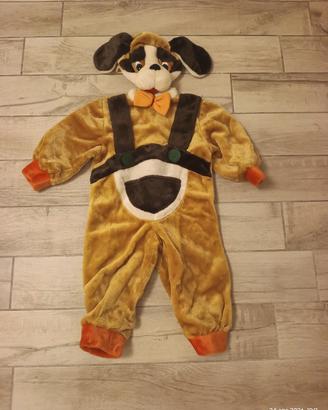 costume di carnevale 2/3 anni