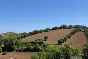Terreno Agricolo - Controguerra