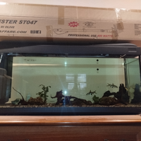 Aquario completo