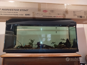 Aquario completo