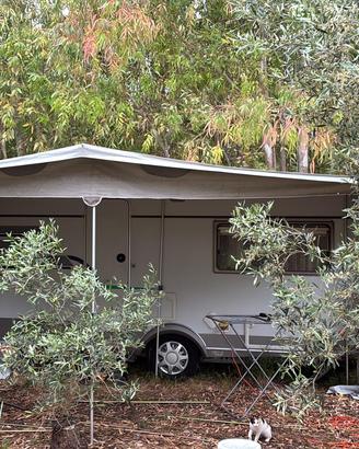 Veranda completa per roulotte Caravan
