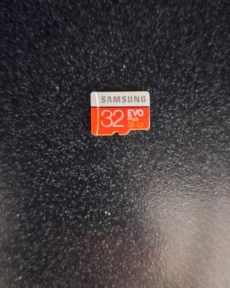 Samsung EVO Plus 32 GB microSDHC UHS-I U1 Memory C