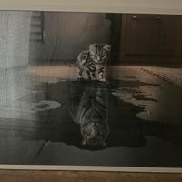 Quadro puzzle incorniciato gatto tigre