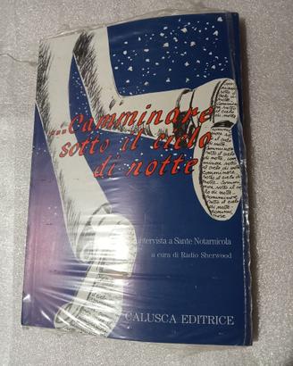 CAMMINARE SOTTO IL CIELO DI NOTTE LIBRO + CD