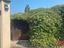 Immagine 9
