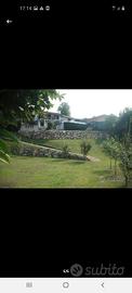 villa singola con giardino in San Daniele