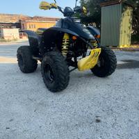 Quad Polaris Trailblazer 250 2T
