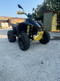 Quad Polaris Trailblazer 250 2T
