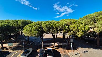 Bilocale - Casa vacanze Punta Marina, Ravenna